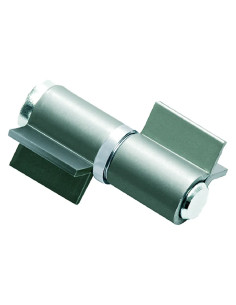 CERNIERONA A 2 ALI APERTE - COMUNELLO