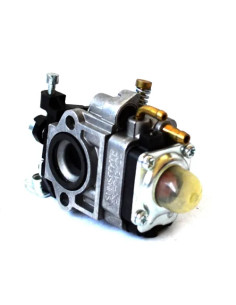 RIC.PAPILLON - DECESP. (97844) CARBURATORE P.40 - 1