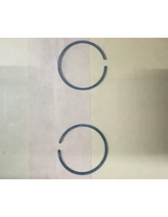 RIC.PAPILLON - DECESP. FASCE PISTONE - DISPONIBILE