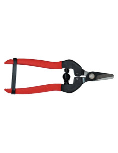 FORBICI COGLIUVA - Koncreto