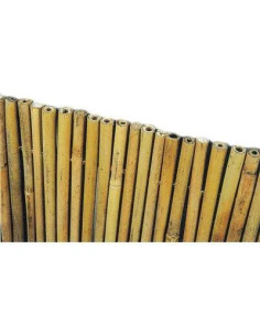 STARS ARELLA STUOIA BAMBOO EXTRA STARS