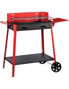 GENERICA BARBECUE CARBONELLA MAXI + RUOTE