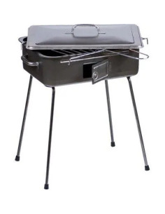 GENERICA BARBECUE FORNACELLA MAXI CARBONELLA FD
