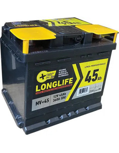 GENERICA BATTERIA AUTO MODULO VALORE