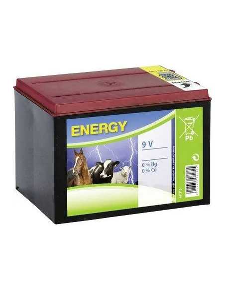 BATTERIA ELETTRORECINZIONE KERBL - KERBL | Utensili Store