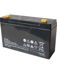 STARS BATTERIA LITIO POMPA ELETTRA 16 STARS