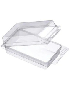 GENERICA BIVALVA RIGIDA