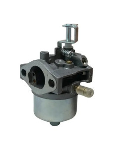 STARS CARBURATORE RASAERBA 43