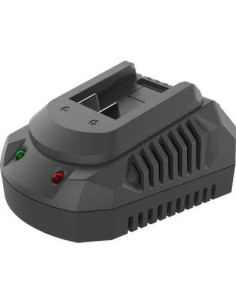 WOKIN CARICABATTERIA GP20V 629304