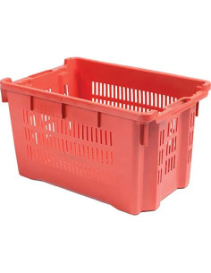 ICS CASSA ORTOFRUTTA SALVASPAZIO ICS