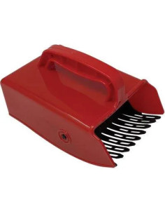 STARS COGLIBACCHE E MIRTILLI STARS