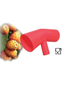 GENERICA COGLIFICO INDIA