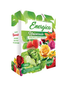 ENERGICA CONCIME GRANULARE LENTA CESSIONE UNIVERS ENERGICA