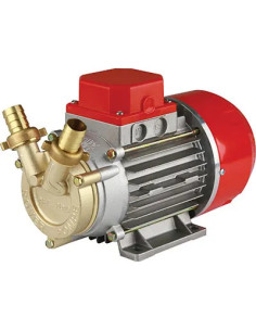 ROVER ELETTROPOMPA TRAVASO GASOLIO MARINA 20