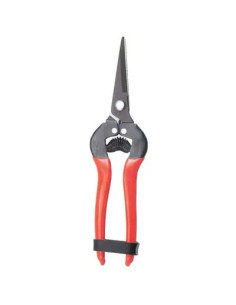 GENERICA FORBICE RACCOLTA A PUNTA STARS