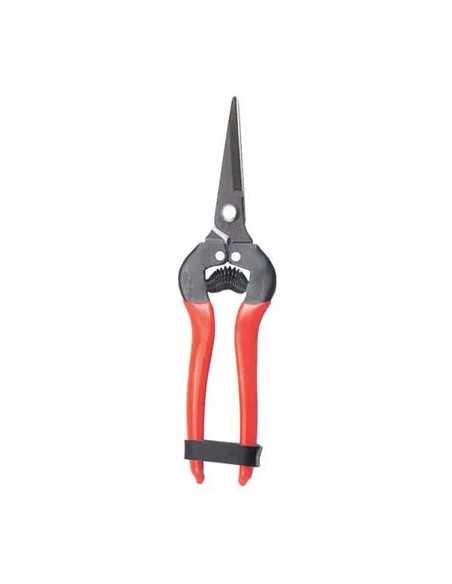 FORBICE RACCOLTA A PUNTA STARS - GENERICA | Utensili Store