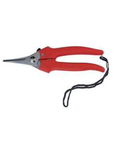 AUSONIA FORBICE RACCOLTA A PUNTA STRETTA