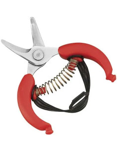 AUSONIA FORBICE RACCOLTA AGRUMI AUSONIA