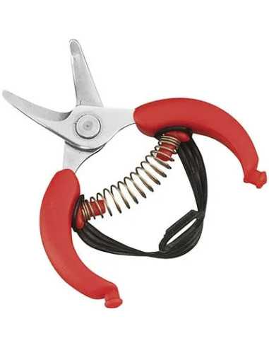 FORBICE RACCOLTA AGRUMI AUSONIA - AUSONIA | Utensili Store