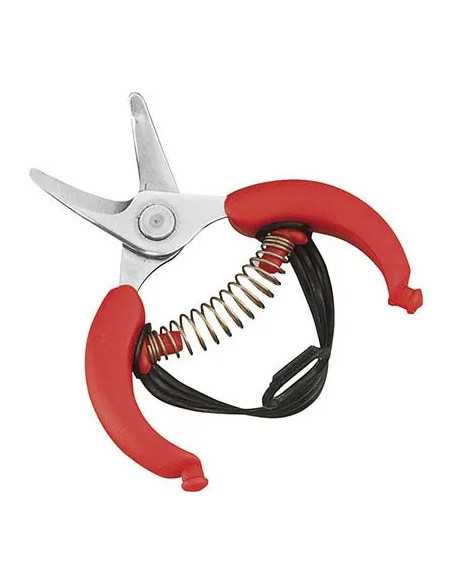 FORBICE RACCOLTA AGRUMI AUSONIA - AUSONIA | Utensili Store