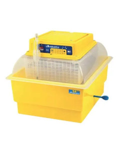 NOVITAL INCUBATRICE COVATUTTO 24 ECO