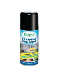 COPYR - INSETTICIDA VOLANTI E STRISCIANTI FLYSPRAY COPYR