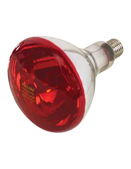 LAMPADA RIFLETTORE PULCINI - GENERICA | Utensili Store