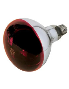 GENERICA LAMPADA RIFLETTORE PULCINI PHILIPS