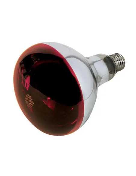 LAMPADA RIFLETTORE PULCINI PHILIPS - GENERICA | Utensili Store