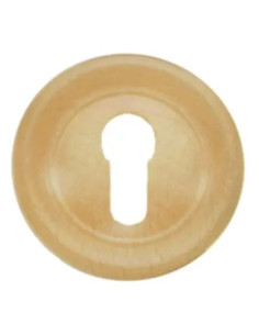 GENERICA MOSTRINA CHIAVE INCASSO FAGGIO