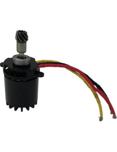 STARS MOTORE + PIGNONE SEGA EASYCUT REX STARS