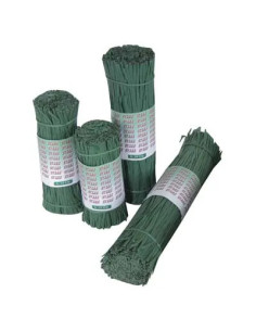 STARS PIATTINA ANIMATA PVC STARS