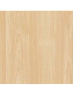 HORNSCHUCH PLASTICA ADESIVA LEGNO OLMO SBIANCATO