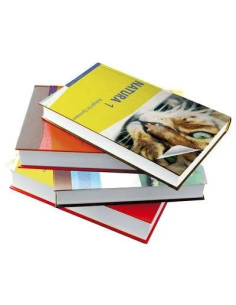 HORNSCHUCH PLASTICA ADESIVA TRASPARENTE ALBA 0009 ALKOR