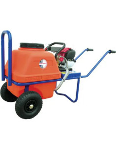 DAL DEGAN - POMPA AP P768 4T + BOTTE VENTO DAL DEGAN