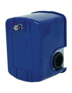 GENERICA PRESSOSTATO AUTOCLAVE MAXIMA