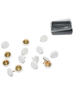 GENERICA PUNTINA DISEGNO PRONTY