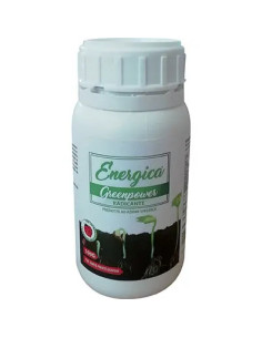 ENERGICA RADICANTE POLVERE ENERGICA