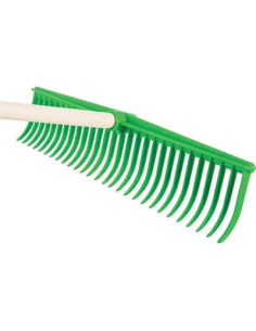 STEA RASTRELLONE PP ERBA