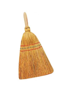 GENERICA SCOPETTA SAGGINA BEFANELLA