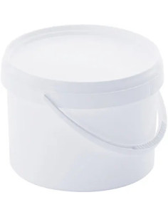 GENERICA SECCHIO PITTORE