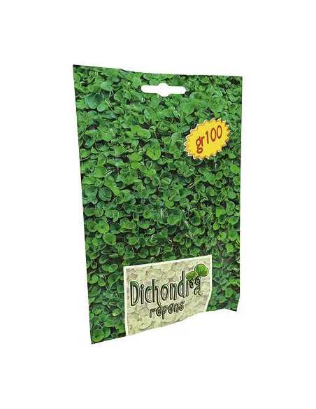 SEME PRATO DICHONDRA REPENS - GENERICA | Utensili Store