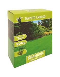 GENERICA SEME PRATO GRAMIGNA