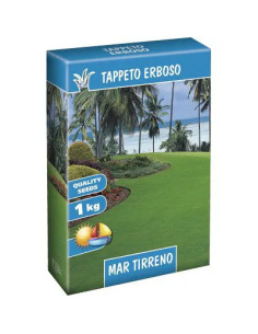 GENERICA SEME PRATO MAR TIRRENO