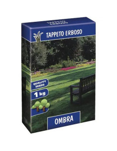 GENERICA SEME PRATO OMBRA