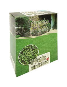 GENERICA SEME PRATO TRIFOGLIO REPENS NANISSIMO