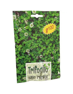 GENERICA SEME PRATO TRIFOGLIO REPENS NANO