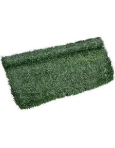 STARS SIEPE SEMPREVERDE ABETE