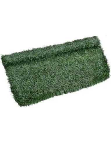 SIEPE SEMPREVERDE ABETE - STARS | Utensili Store