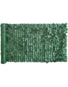 STARS - Siepe Sempreverde Edera Serie Plus